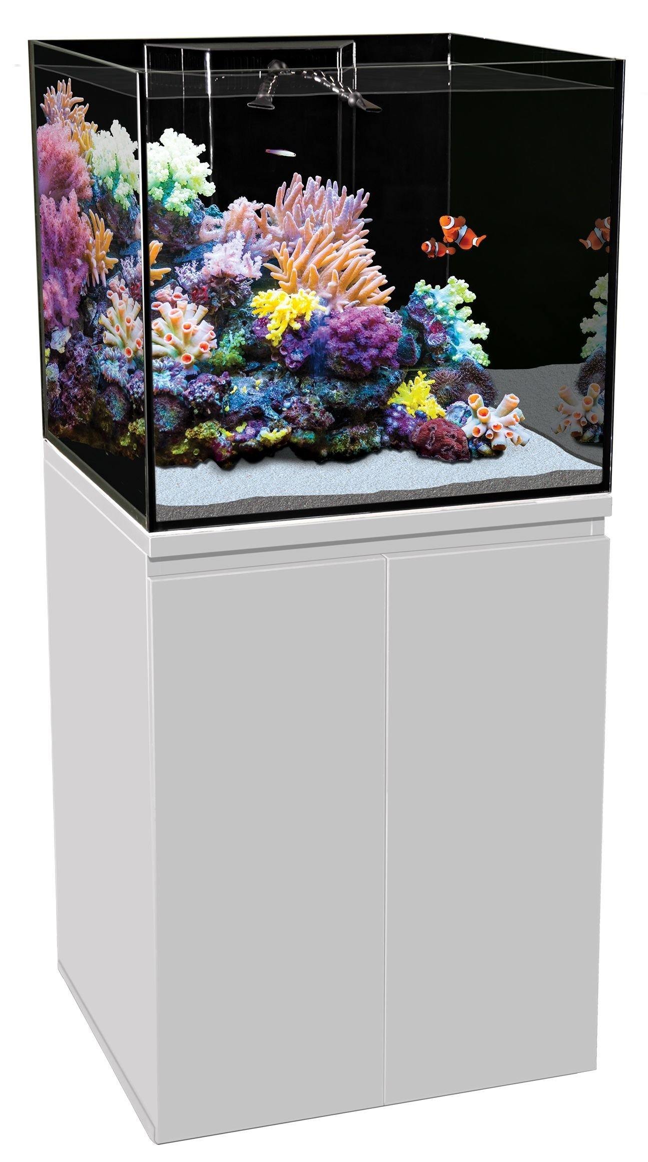 AQUA ONE REEFSYS 180 AQUARIUM For Sale,