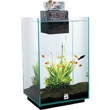 Fluval Chi Aquarium Fish Tank 25L For Sale,