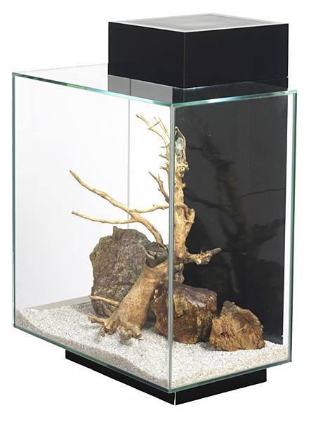 Fluval Edge 2.0 Aquarium Black 46 Litre For Sale,