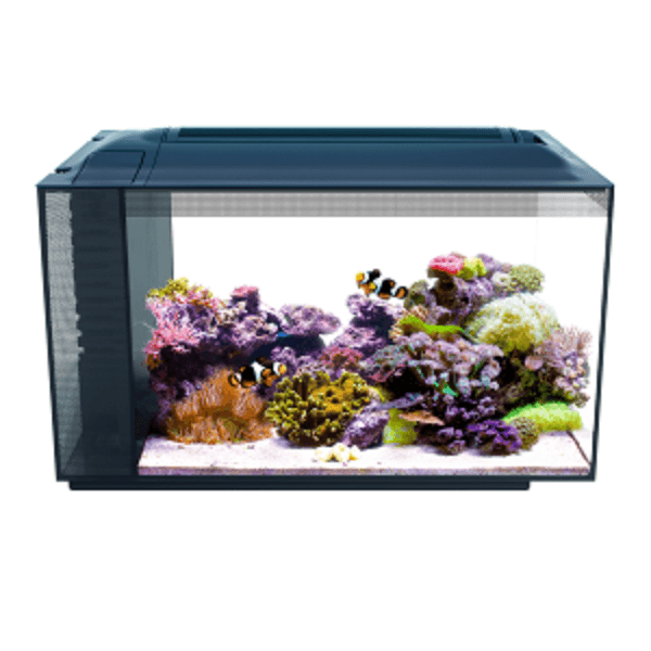 Fluval Evo Marine Aquarium 52 Litre For Sale,