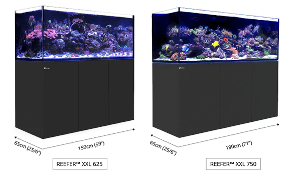 Fish Tank For Sale, Fish Tank For Sale Near Me